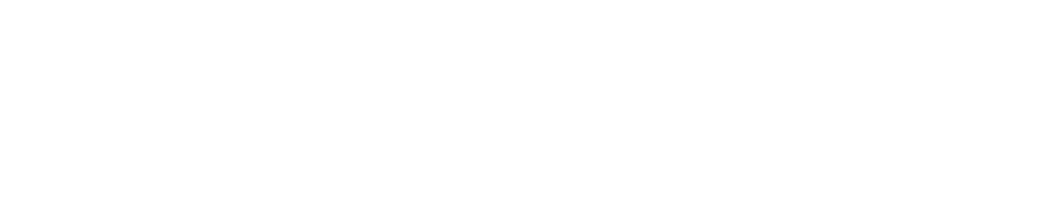 Preferred Partners